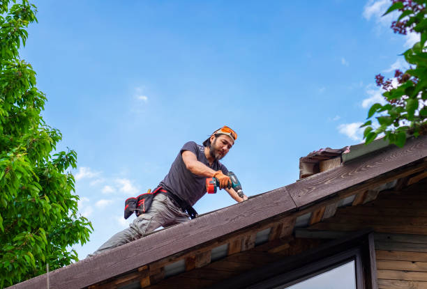 Best Emergency Roof Repair Services  in Perry, LA